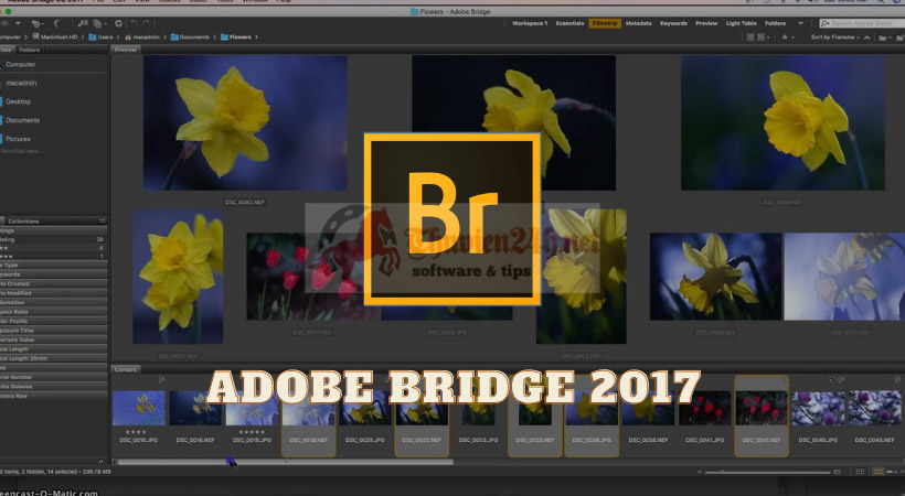 Kích hoạt Adobe Bridge 2017